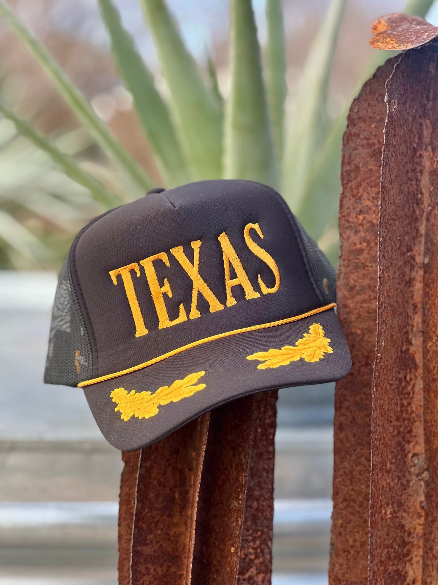 Texas - Black/Gold