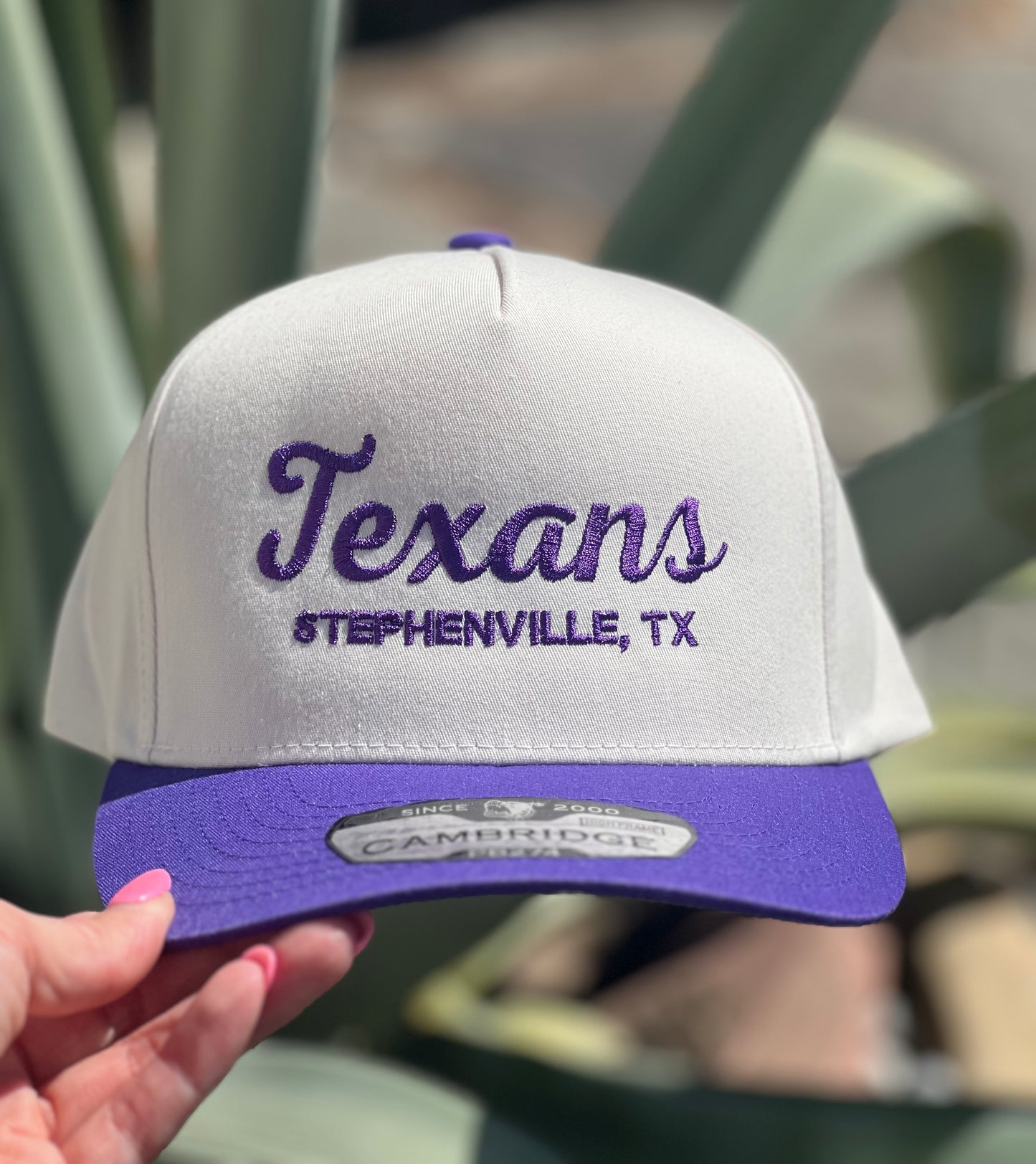 Texans - Purple/Natural